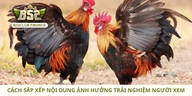 Cách sắp xếp nội dung ảnh hưởng trải nghiệm người xem